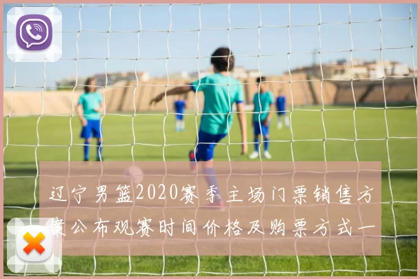 辽宁男篮2020赛季主场门票销售方案公布观赛时间价格及购票方式一览