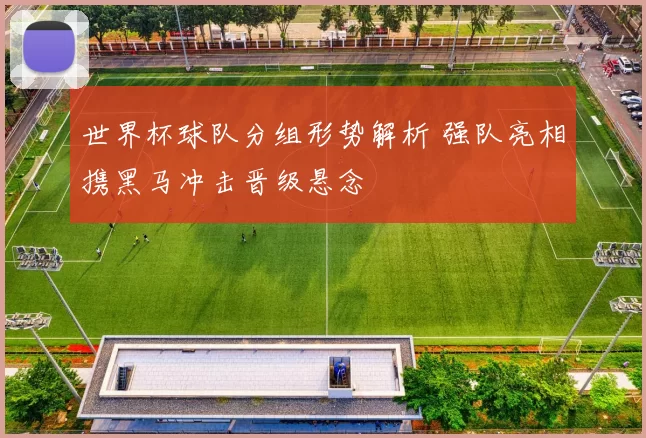 世界杯球队分组形势解析 强队亮相携黑马冲击晋级悬念