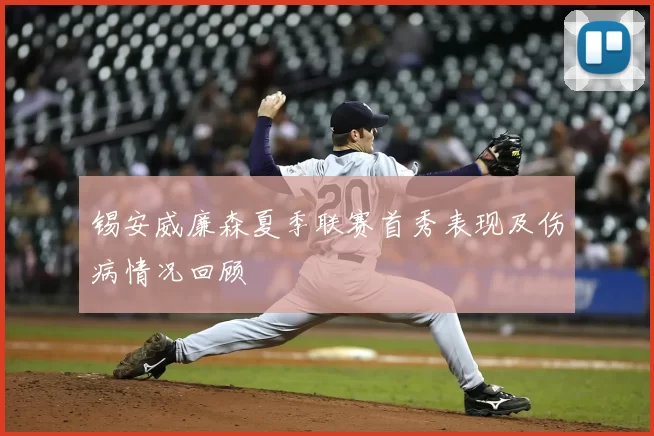 锡安威廉森夏季联赛首秀表现及伤病情况回顾