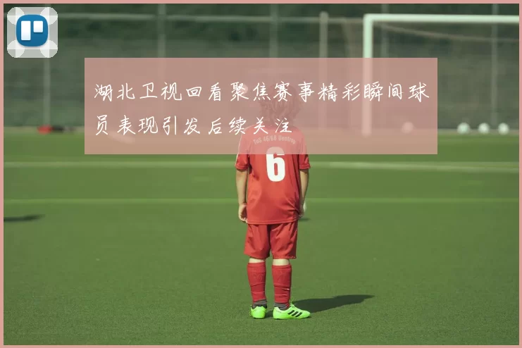 湖北卫视回看聚焦赛事精彩瞬间球员表现引发后续关注