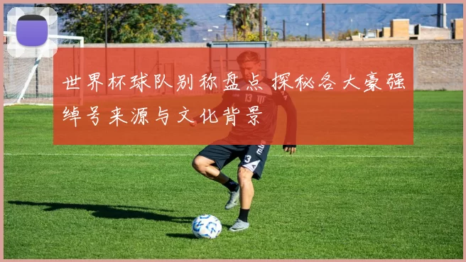 世界杯球队别称盘点 探秘各大豪强绰号来源与文化背景