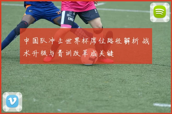 中国队冲击世界杯席位路径解析 战术升级与青训改革成关键