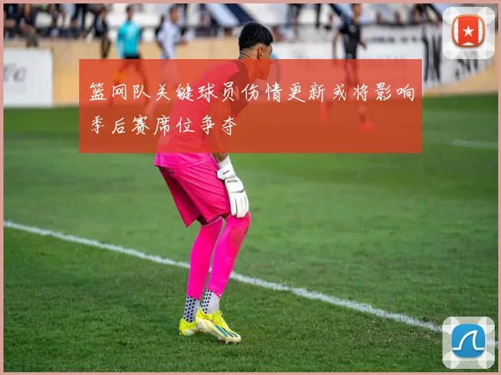 篮网队关键球员伤情更新或将影响季后赛席位争夺